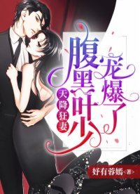 天降狂妻：腹黑葉少寵爆了